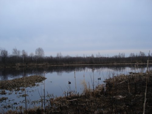 Весна 2009