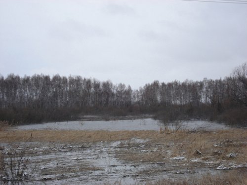 Разливчик в Хохловском