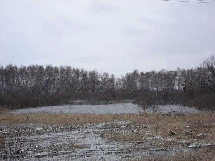 Разливчик в Хохловском