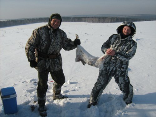 делим зайца