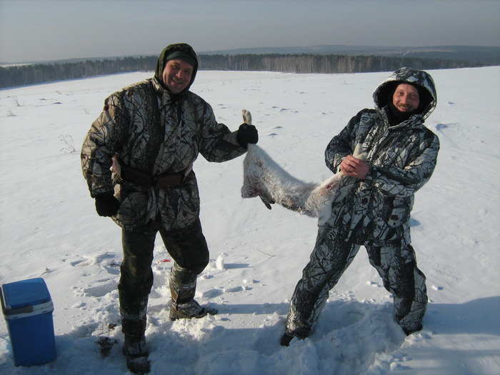 делим зайца