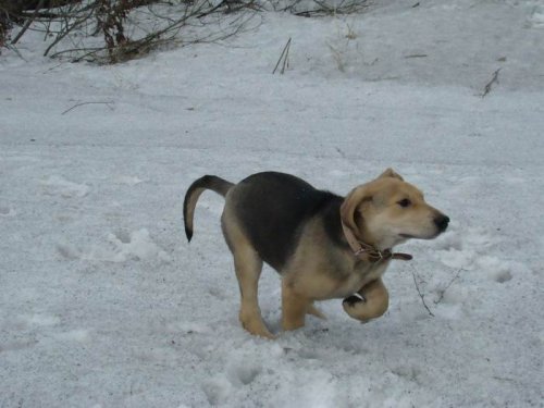 чем не стойка? :)