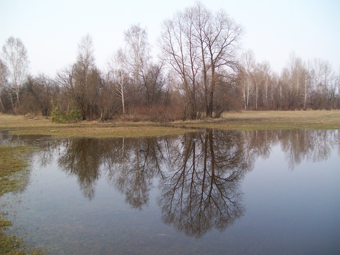 здесь был мой скрадок