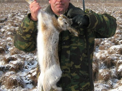 взял в кочке
