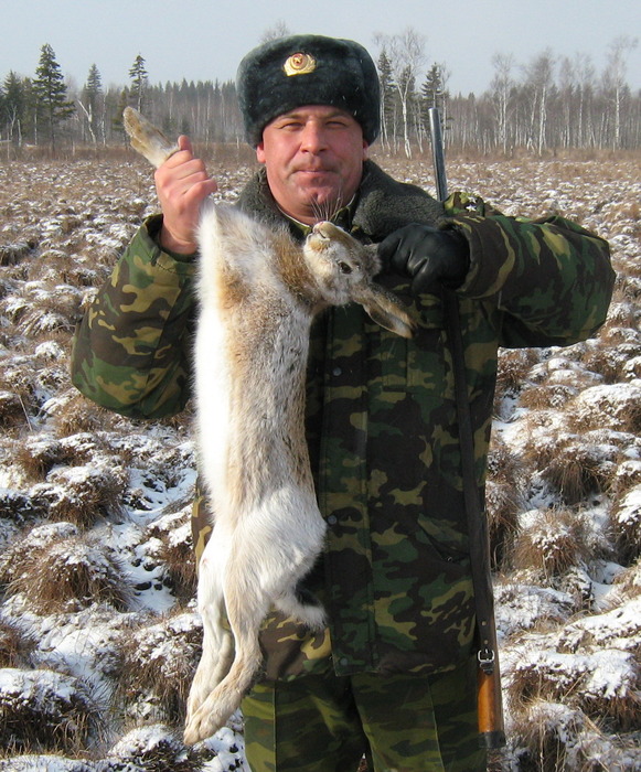 взял в кочке