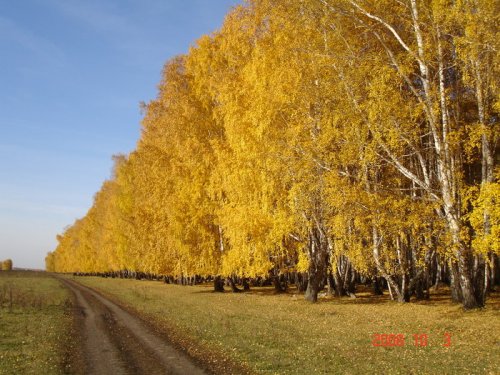 Дорога на озёра