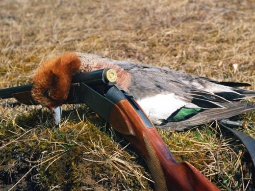 После утрянки