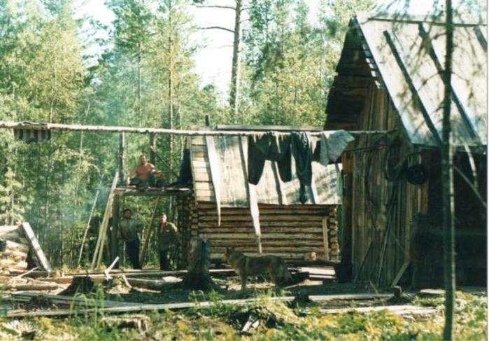 К ТЕМЕ новое зимка,