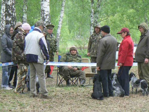  А ну ка, представьте мне своих питомцев... 