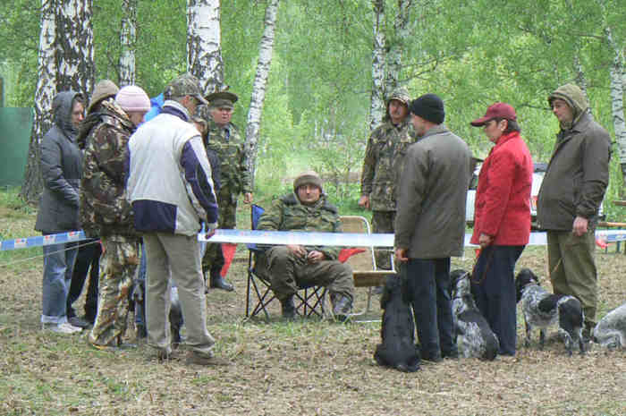  А ну ка, представьте мне своих питомцев... 