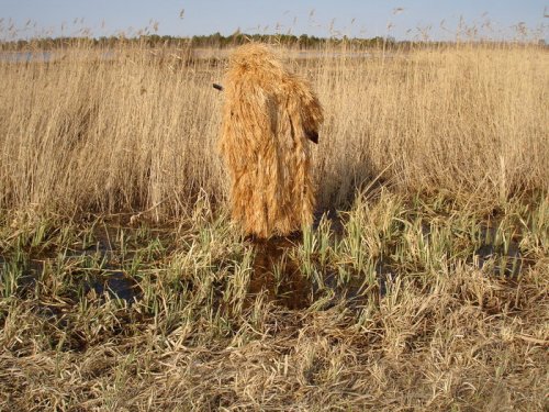 Чучело, чучело. Повернись к озеру задом а к фотику передом :-))