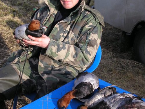 Весна 2008