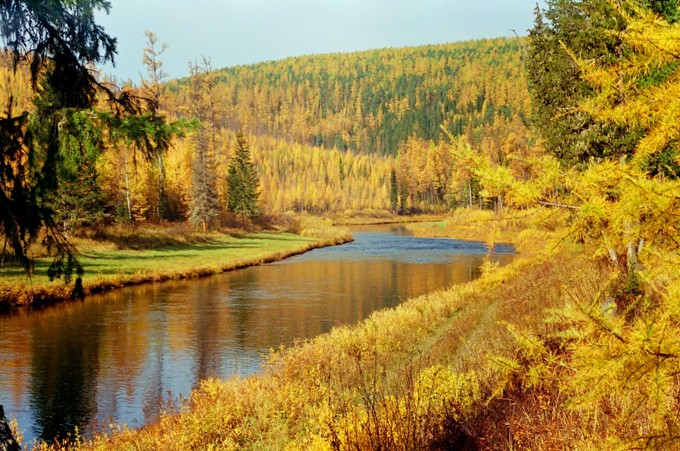 Речка Турука