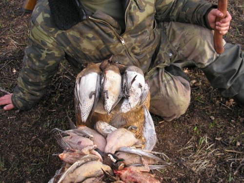 После крайней зорьки. Весна 2009. Здравствуй лето и рыбалка. Где ты осень?