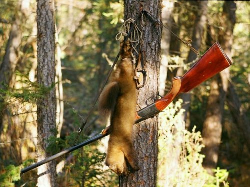 С трудом верится, что это начало ноября. 2004 г.