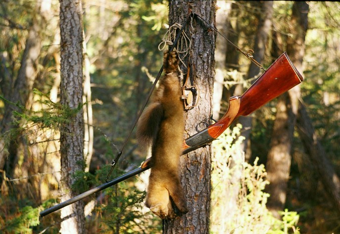С трудом верится, что это начало ноября. 2004 г.