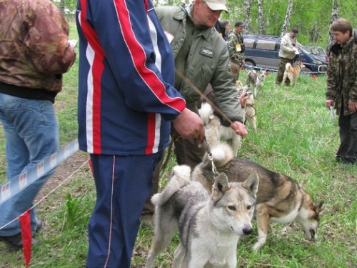 Выставка 23.05.2009
