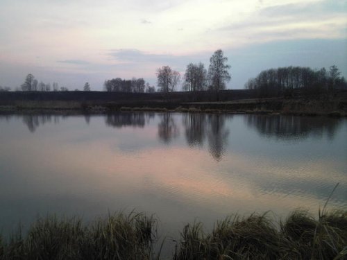Перед грозой