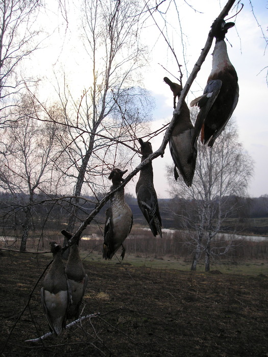 После зорьки