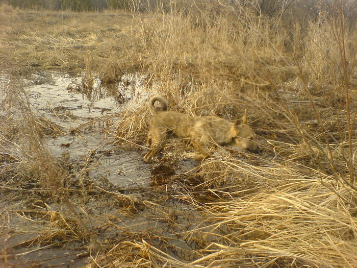 Преодаление небольшой водной преграды