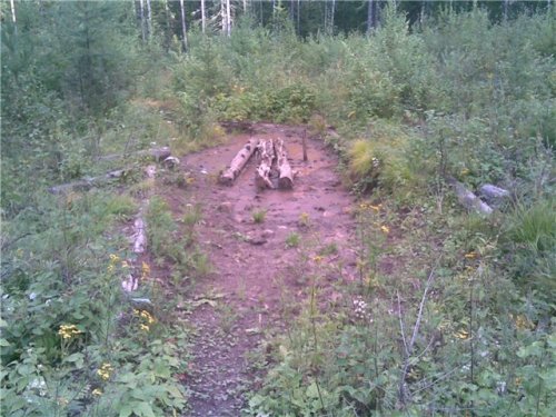 Cолончишка
