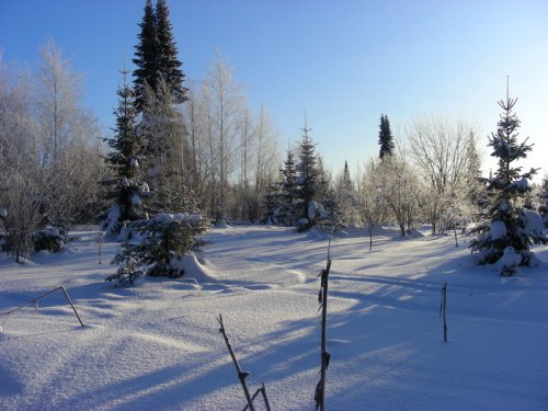 Мороз и солнце....