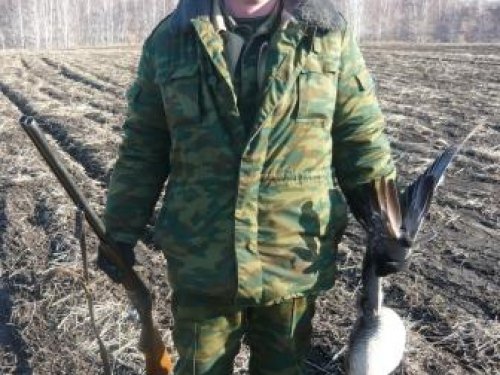на гуся весной 2009