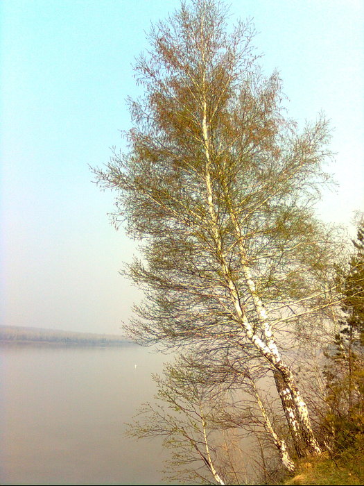 у Красного Яра