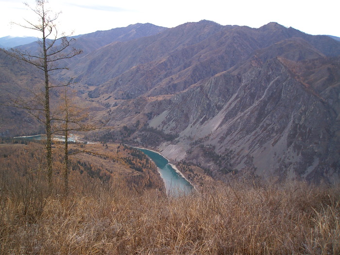 Катунь