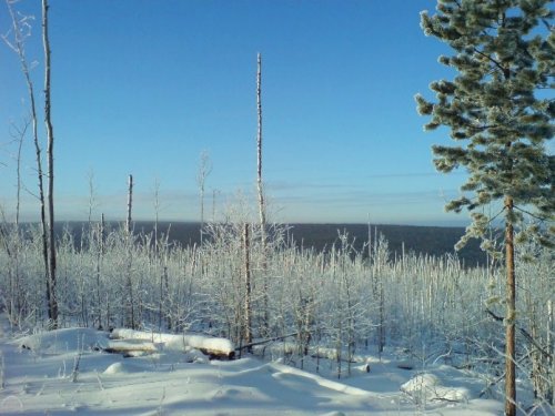 На краю пожарища