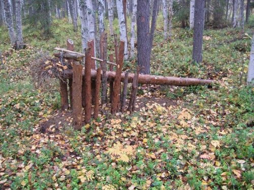 Ловушка