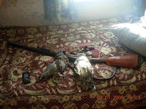 Мои первые ТРОФЕИ))) на Иж-26, хорошое было ружье(((