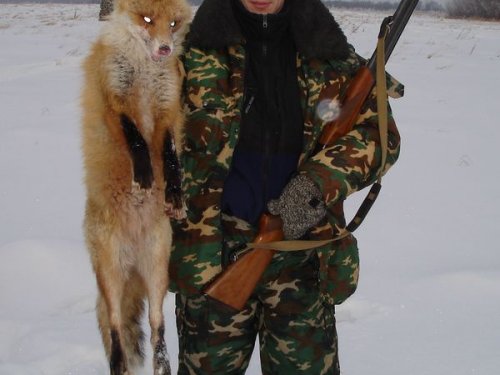 Санитарный отстрел