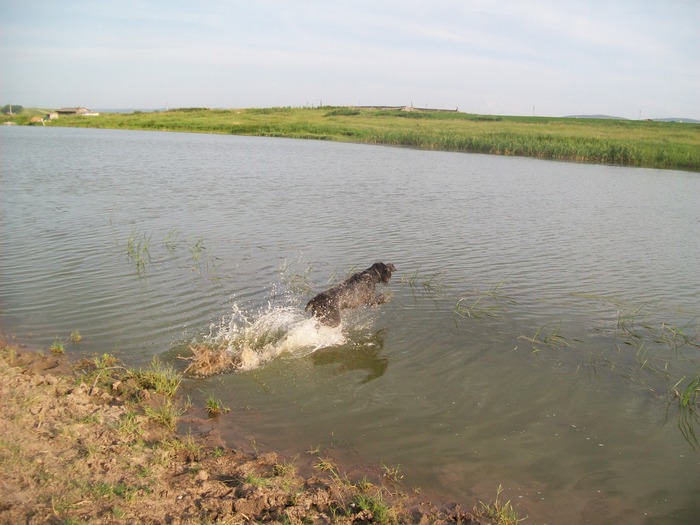 Жарко, скорее в воду!