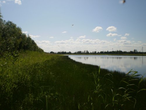 112