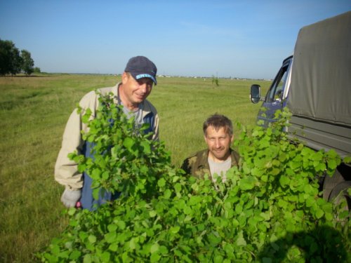 Косулям готовим