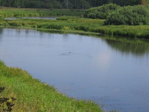 Днем, перед открытием