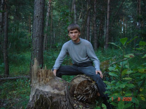 Следы бобра.