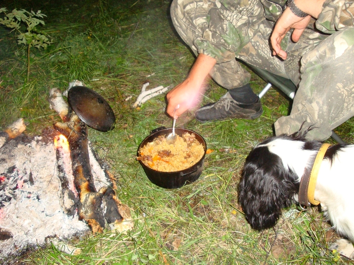 Плов