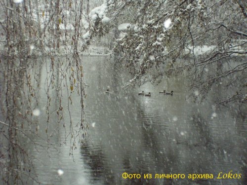 Снег кружится летает,летает....