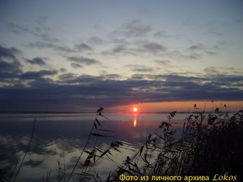 Зорька... 