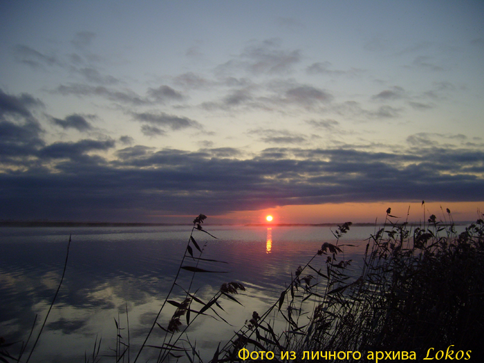 Зорька... 