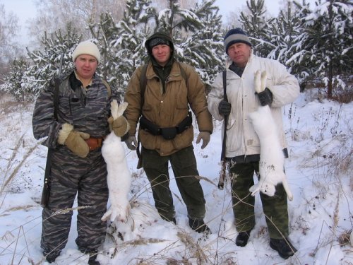 Заринский р-н