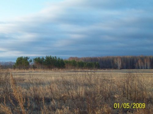 весна 2009