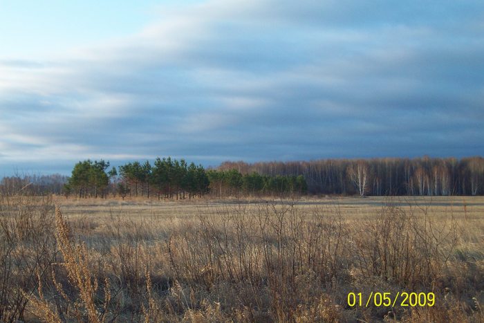 весна 2009
