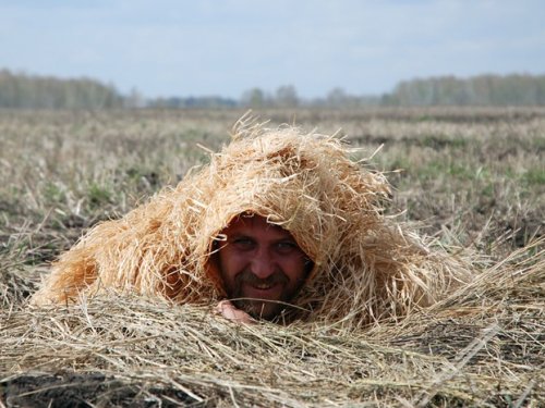 Ждем гуся