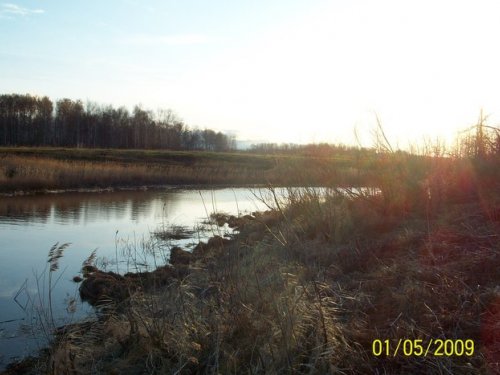весна 2009