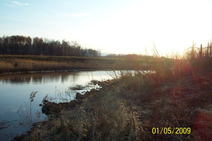 весна 2009