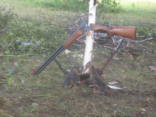 Натюрморт
