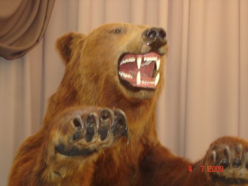 Мишаня